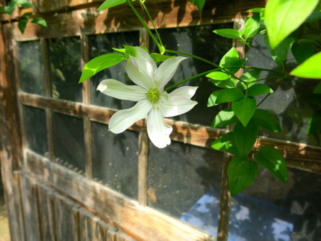 garten12